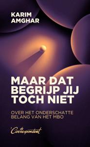 Maar dat begrijp jij toch niet (Paperback)