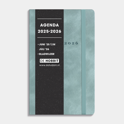 A6 Deluxe Pocket Agenda 2025 - 2026 Suede Look