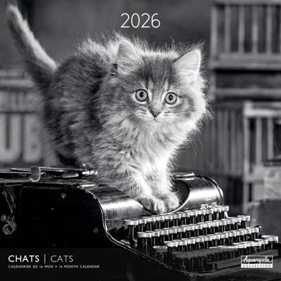 Katten in Zwart Wit Kalender 2026