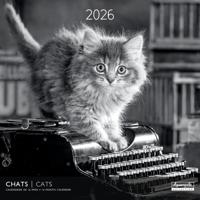 Katten in Zwart Wit Kalender 2026