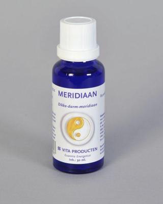 Vita Meridiaan dikke darm meridiaan