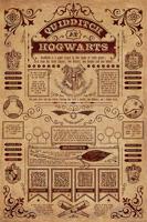 Harry Potter Quidditch At Hogwarts Poster 61x91.5cm