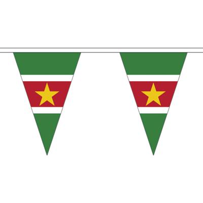 Suriname vlaggenlijn van stof - 2x - 500 cm - polyester - landen vlaggetjes - versiering