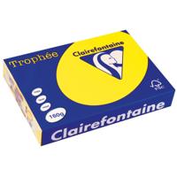 Clairefontaine Trophée Intens, gekleurd papier, A4, 160 g, 250 vel, zonnegeel
