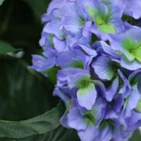 Hortensia deluxe kunstplant 45cm - blauw