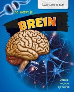 Zo werkt je brein (Hardback)