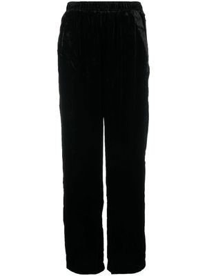 Gold Hawk pantalon en velours - Noir