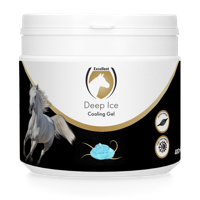 Deep Ice Gel in pot 400 ml