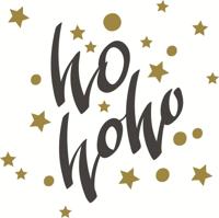 Servet l33b33 cm ho-ho stars 20st Duni - Duni