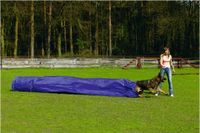 Beeztees agility tunnel met zak - hondenspeelgoed - 500x60x60 cm