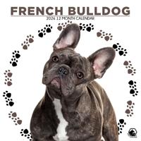 Franse Bulldog Kalender 2026