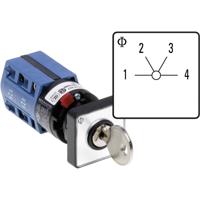 Kraus & Naimer CG4.A231.*FS2.DE21 Wisselschakelaar 10 A 2 x 60 ° Grijs, Zwart 1 stuk(s)