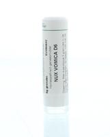 Nux vomica D6 6 Gram