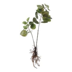 Mica Decorations Eucalyptus Kunstplant - L12 x B28 x H64 cm - Groen