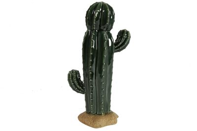 Cactus Dio L groen