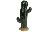 Cactus Dio L groen