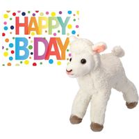 Pluche knuffel lammetje/schaap 20 cm met A5-size Happy Birthday wenskaart - thumbnail