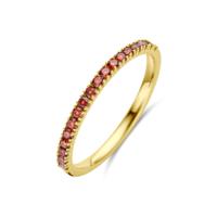 14K Geelgouden Ring met Granaat Geboortesteen - Januari 14K Geelgouden Ring met Granaat Geboortesteen - Januari