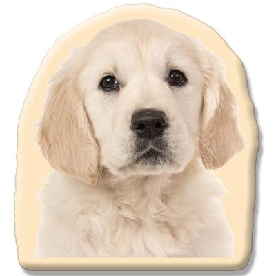 Kleur Voorzijde: - Pillow Buddies