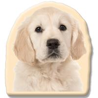 Kleur Voorzijde: - Pillow Buddies