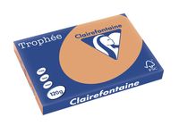 Clairefontaine Trophée Pastel, gekleurd papier, A3, 120 g, 250 vel, mokkabruin - thumbnail