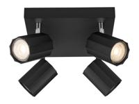 LIVARNO home Plafondlamp (Plafondspot, zwart)