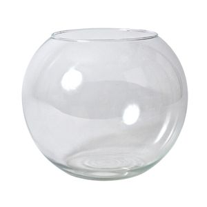 Bol vaas/terrarium - D25 x H21 cm - glas - transparant