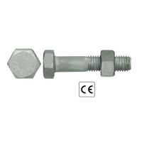 pgb-Europe PGB-FASTENERS | SB-bout CE 8.8 EN15048-1 M27x200 Tvz | 10 st P15048810027002003