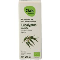 Eucalyptus radiata bio