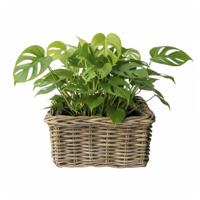 VD Leeden Plantenmand Klassiek - bruin - rechthoek - 30 x 30 x 15 cm - rotan - gevlochten riet