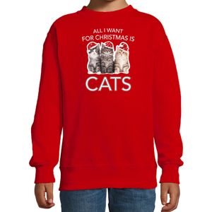 Kitten Kerst sweater / outfit All I want for Christmas is cats rood voor kinderen