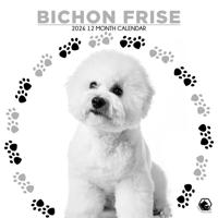 Bichon Frise Kalender 2026