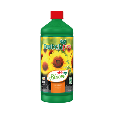 Dutch Pro Dutch Pro PH- Bloei
