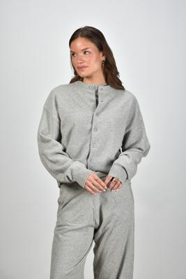 Extreme Cashmere vest Chou 170 grey