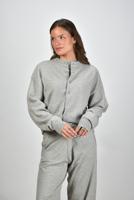 Extreme Cashmere vest Chou 170 grey