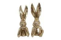 Haas Zen M a2 goud Countryfield - Countryfield