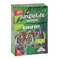 Identity Games Idgames weetjes kwartet jungle life