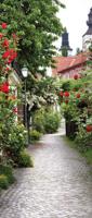 Trap bloemen 130x50cm Tuinschilderij - Customize it