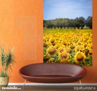 Sticker foto landschap zonnebloemen