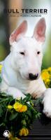 Bull Terrier Slimline Kalender 2026