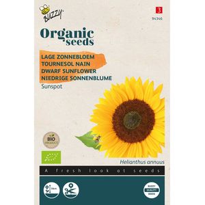 Buzzy® Organic Helianthus annuus Sunspot (BIO)