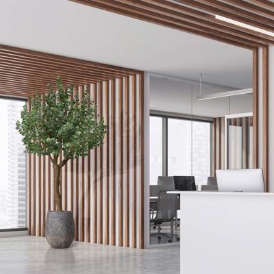 Eucalyptus Kunstboom XL 300cm