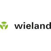 Wieland Electric 375.007 Aansluitkabel Zwart 5.00 m