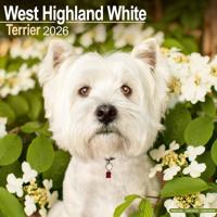 West Highland White Terrier Kalender 2026 West Highland White Terrier Kalender 2026