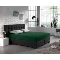 Dreamhouse Jersey Matras Hoeslaken 135 gr Botanical Green