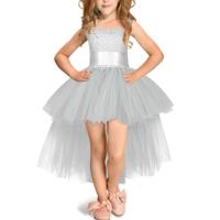 Grijze meisjes Lace Sling jurk mesh Tutu partij jurk KId grootte: 7-9 leeftijd (120-140cm)