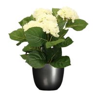 Hortensia kunstplant/kunstbloemen 36 cm - wit - in pot titanium grijs glans - thumbnail