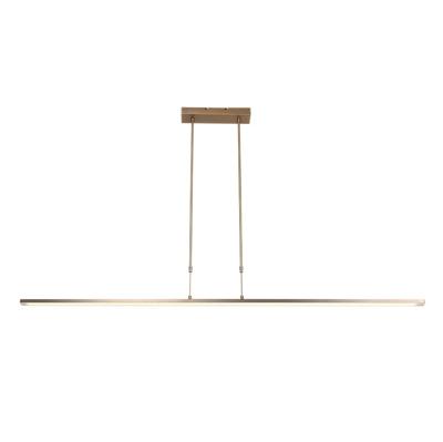 Steinhauer HanglampZelena LED - 7971BR