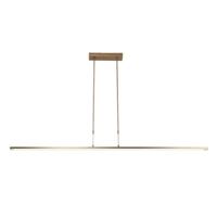 Steinhauer HanglampZelena LED - 7971BR