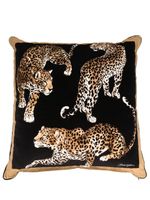 Dolce & Gabbana coussin à imprimé léopard - Noir